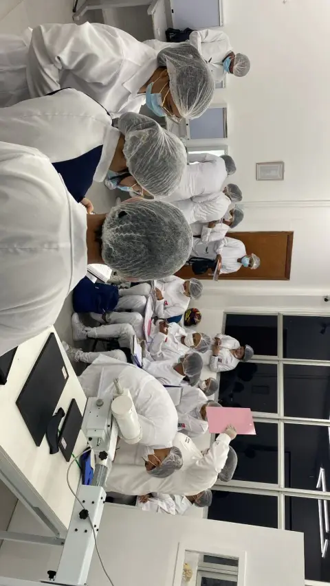 Aulas Práticas